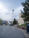 Maibaum 2015