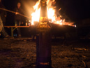 Maibaum 2015